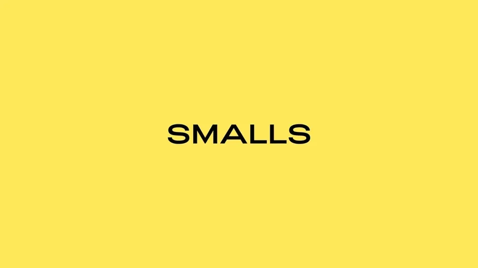 Smalls Pitch Deck design reference